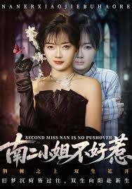 剧集封面
