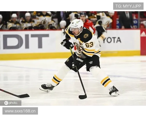 底特律红翼对阵阿纳海姆小鸭激战正酣 NHL常规赛精彩回顾