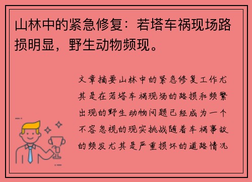 山林中的紧急修复：若塔车祸现场路损明显，野生动物频现。